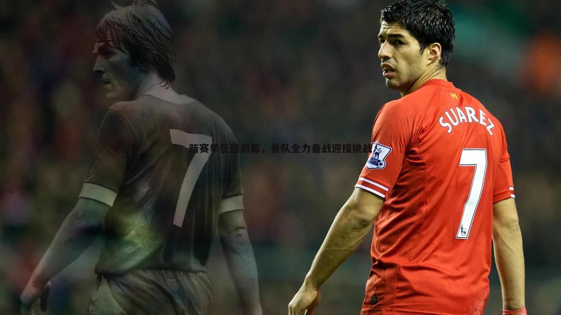 新赛季征程启幕，各队全力备战迎接挑战